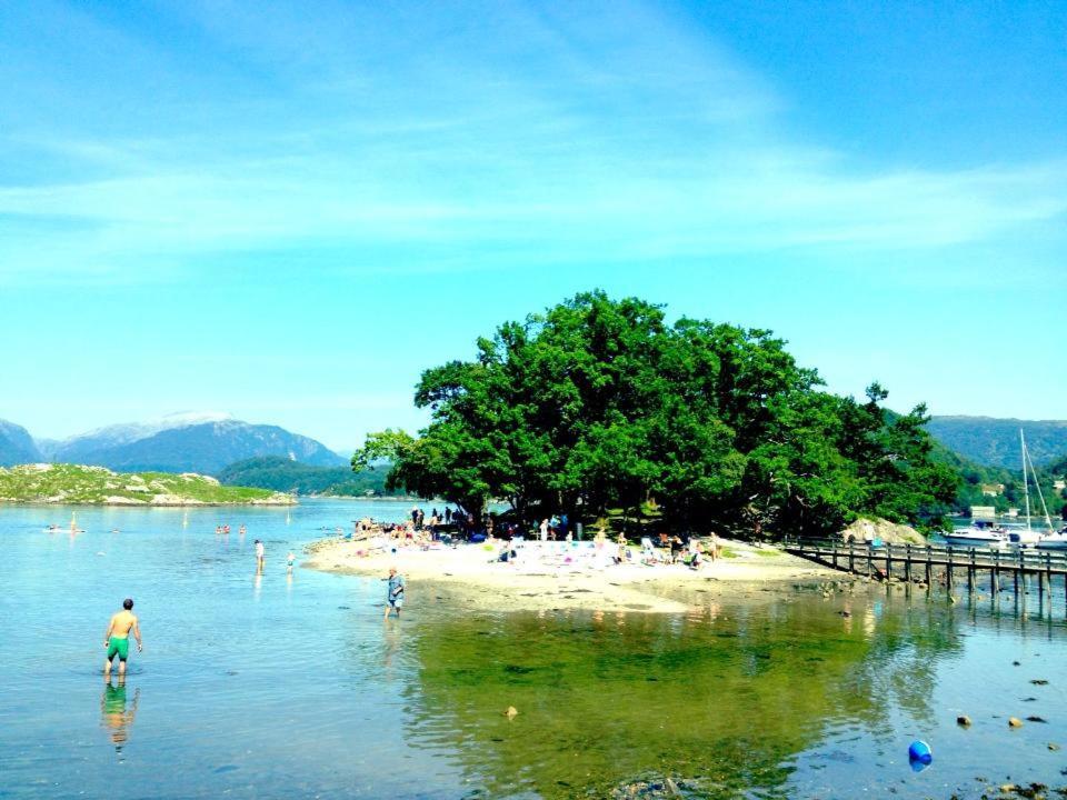 Skanevik Fjordhotel Dış mekan fotoğraf